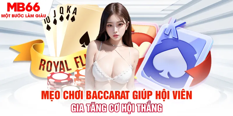 nohu09 đá gà 88