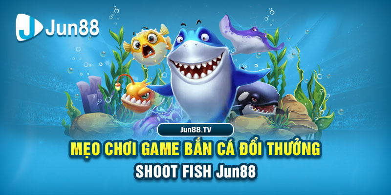 nohu09 tai game danh bai bigkool ve may tinh