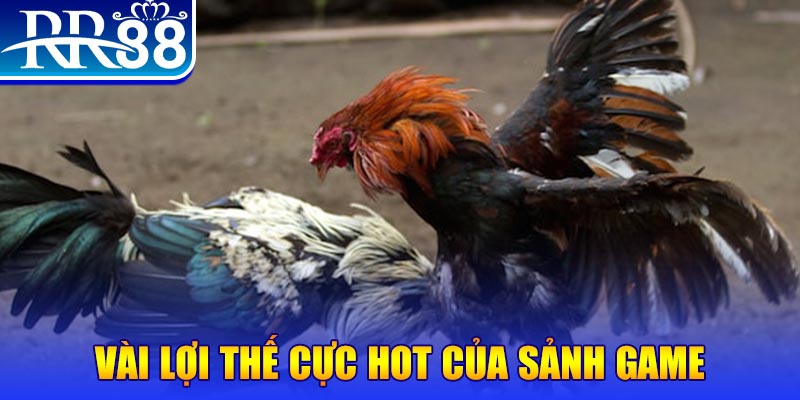 nohu09 nổ hủ là trò gì