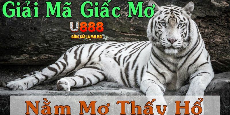 nohu09 xổ số kiến thiết miền bắc