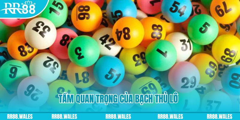 nohu09 đá gà trực tiếp casino