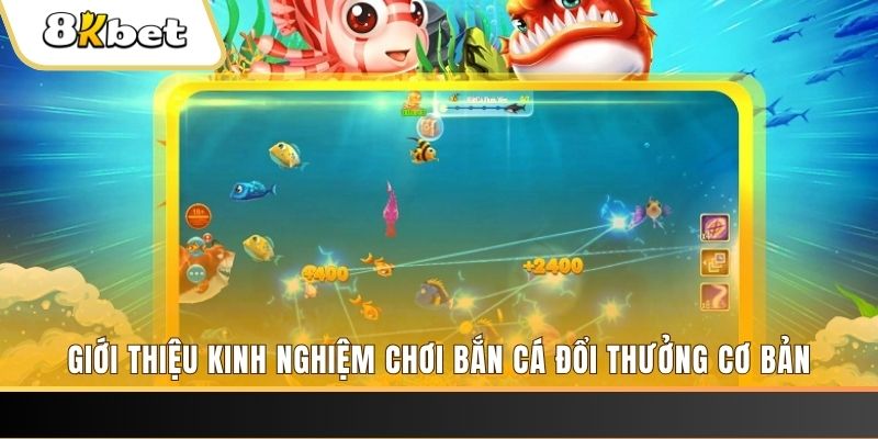 nohu09 8 bí ẩn chơi nổ hũ ít ai biết