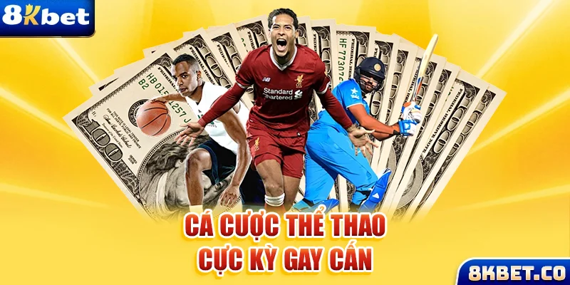 nohu09 Bữa tiệc dành cho thanh thiếu niên